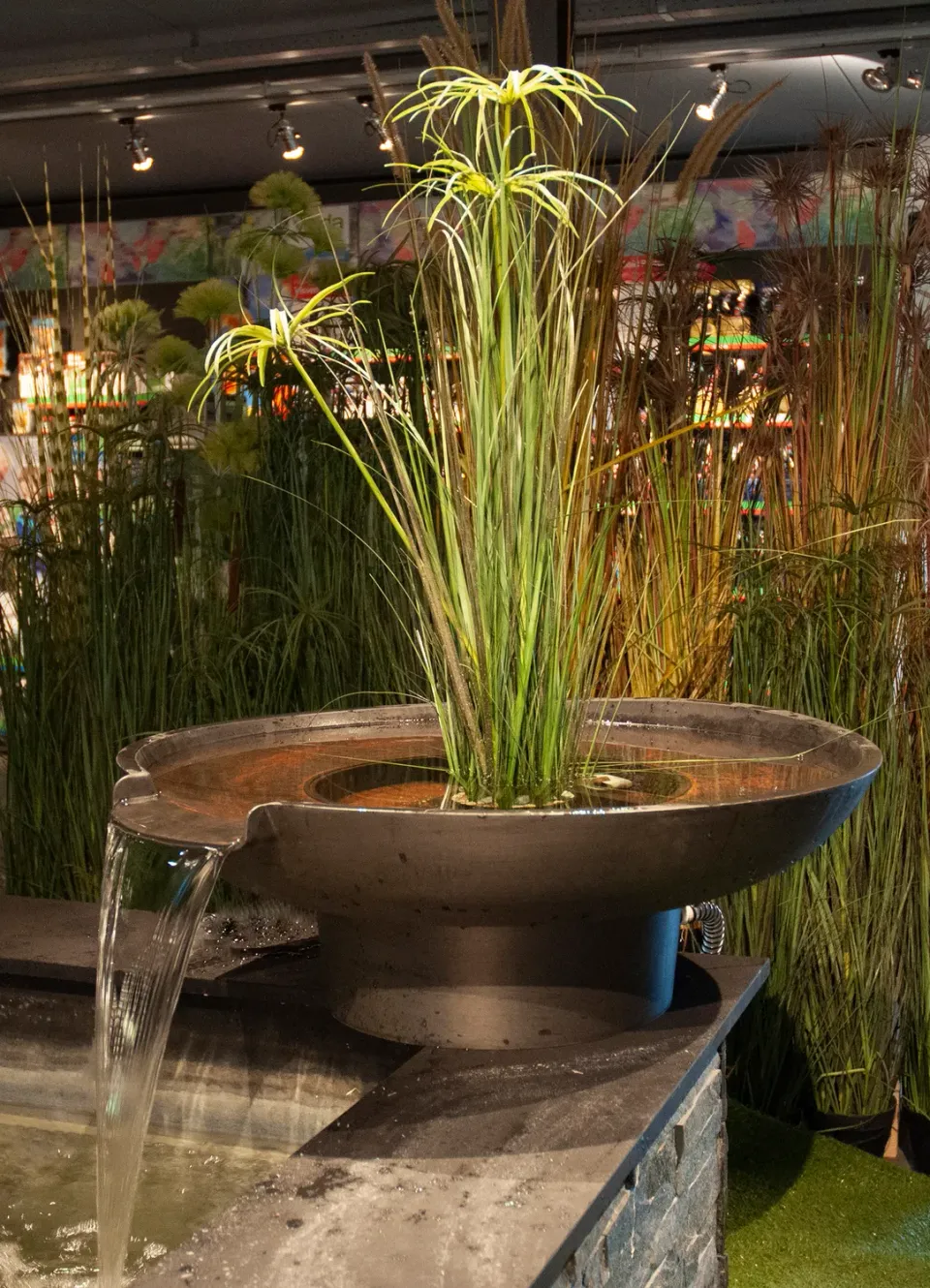 Velda Pond Filter Bowl coupe filtrante avec pompe