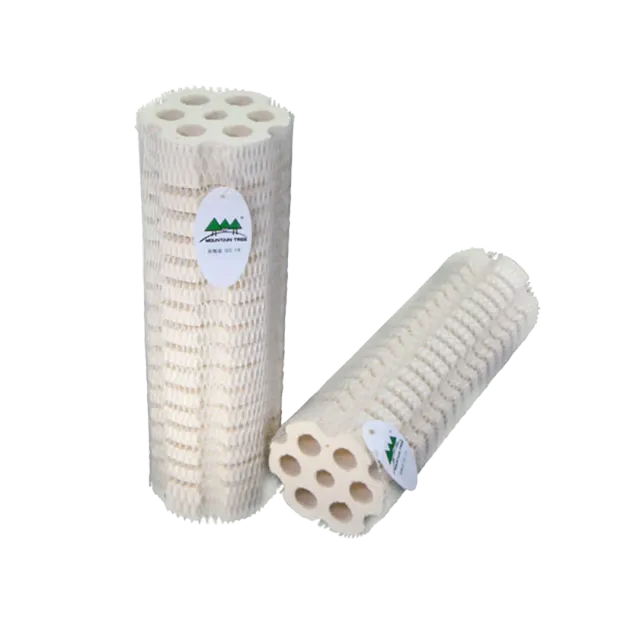 Mountain Tree Lotus Root support bactéries