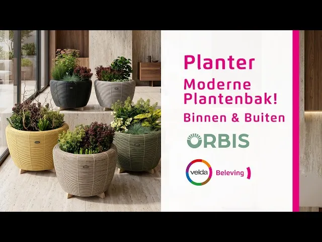 Velda Orbis Planter panier bassin plantes