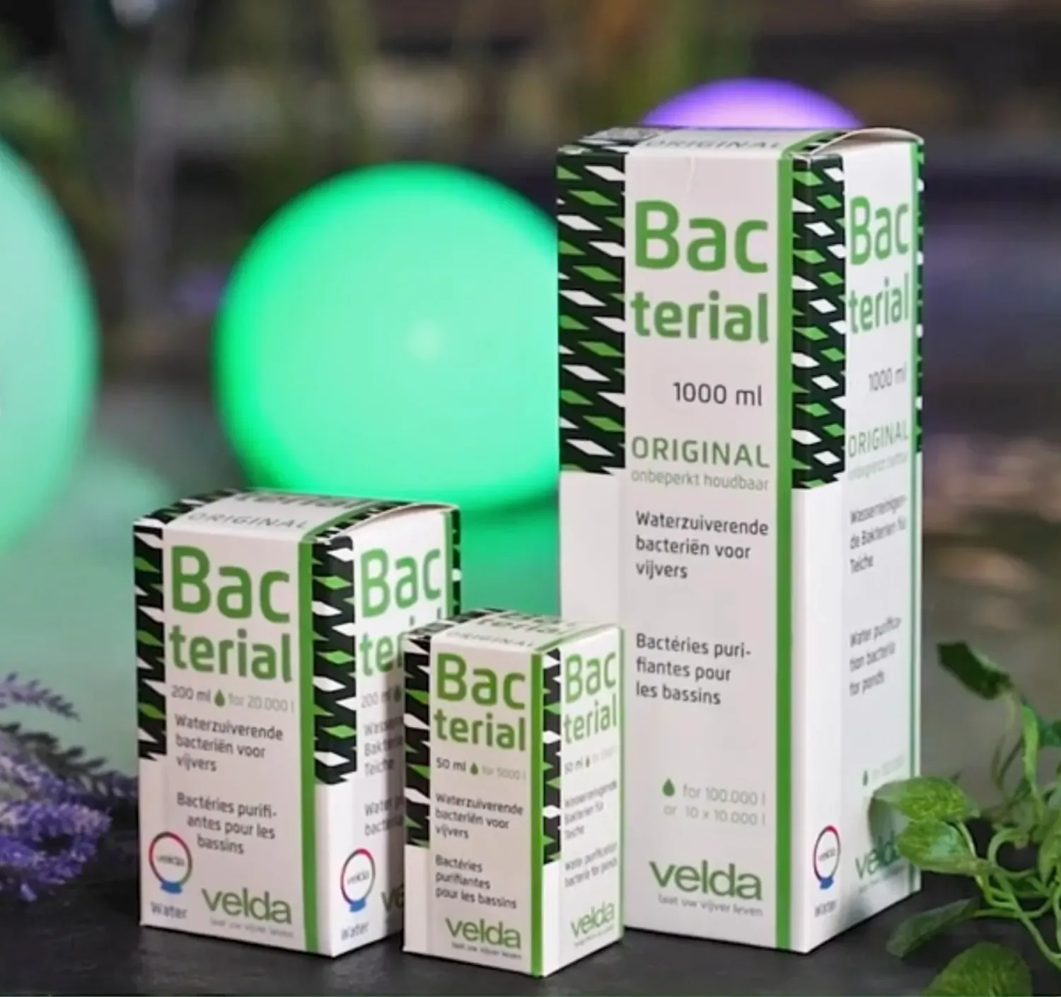 Velda Bacterial bactéries bassin nitrifiantes