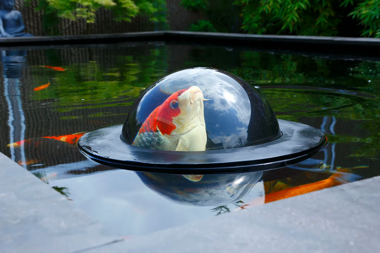 Velda Floating Fish Dome M cloche observation poissons