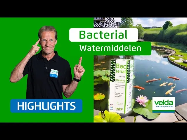 Velda Bacterial bactéries bassin nitrifiantes