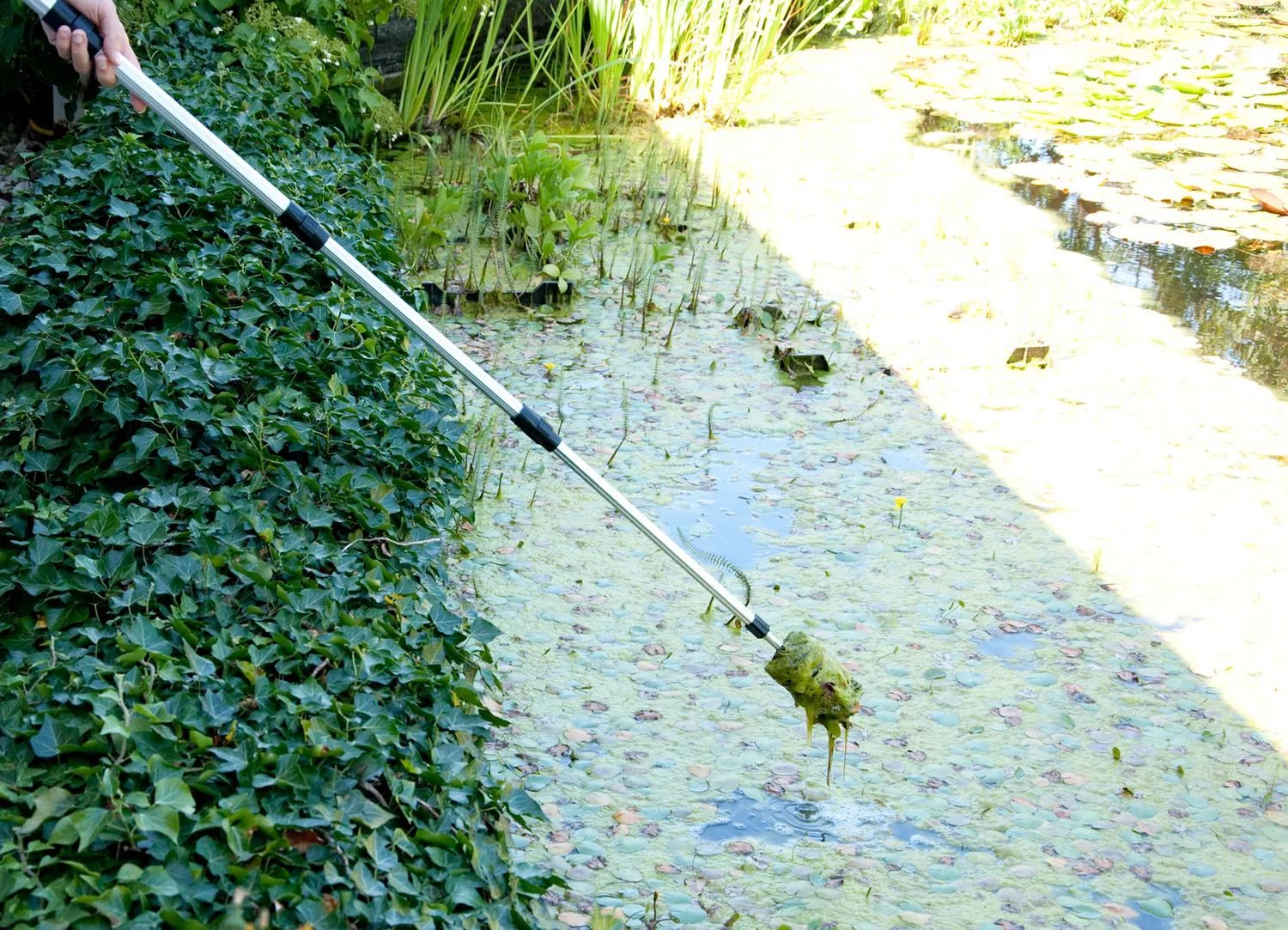 Velda Algae Brush brosse algues télescopique 51-151 cm