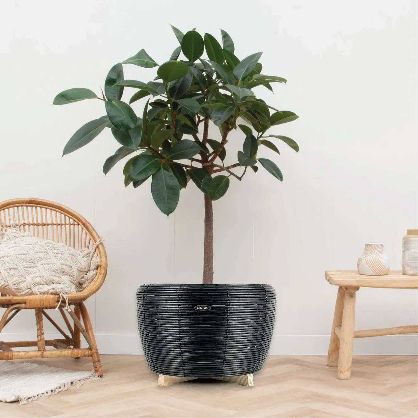 Velda Orbis Planter panier bassin plantes