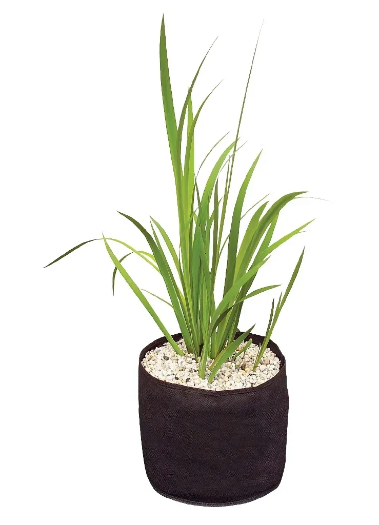Velda Plant Basket panier de plantation pour bassin