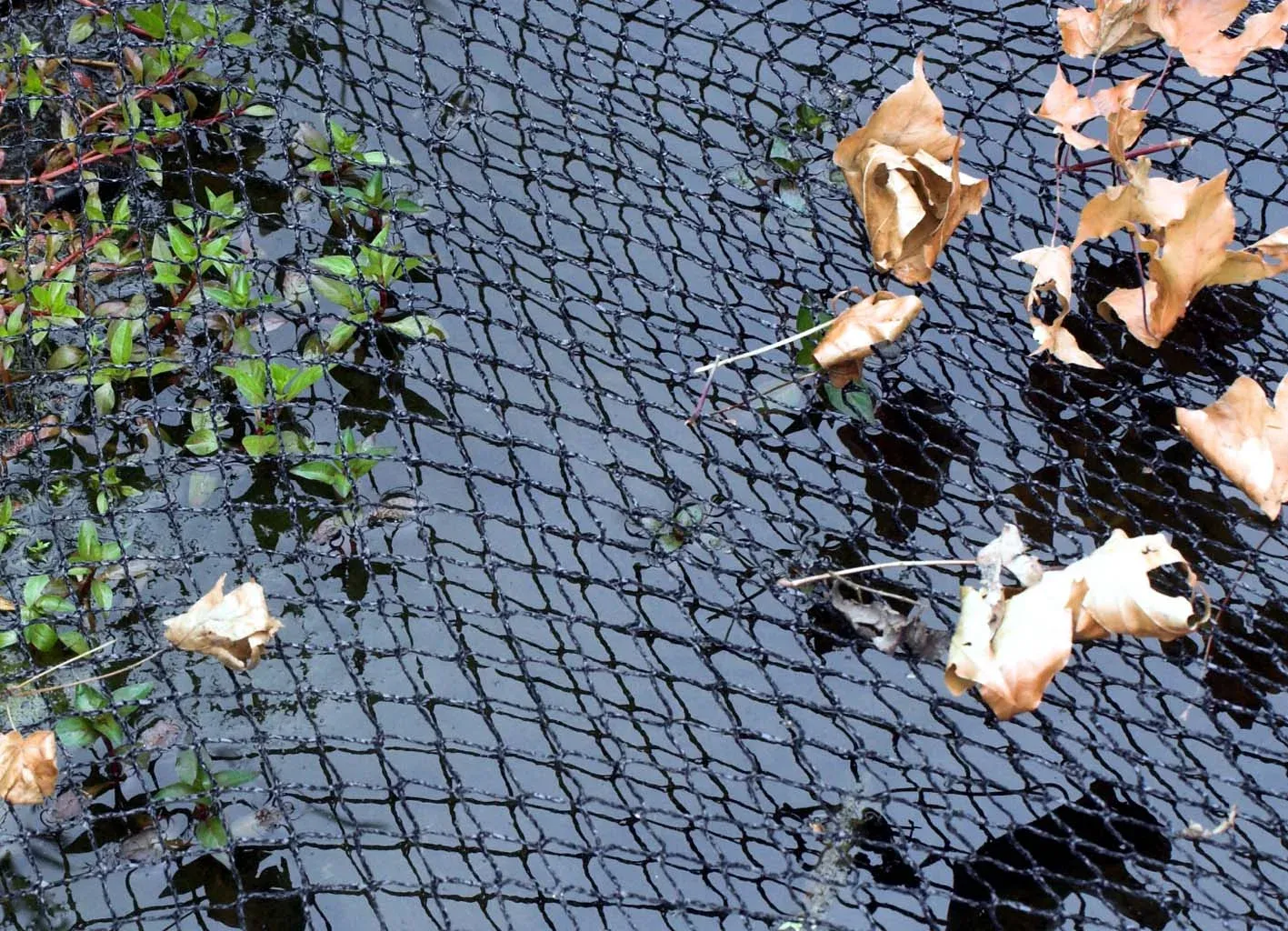 Velda Cover Net filet de protection bassin