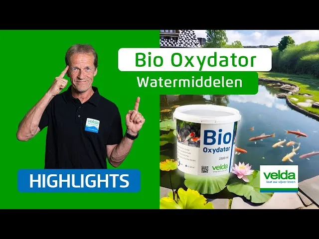 Velda Bio-Oxydator traitement bassin anti-vase
