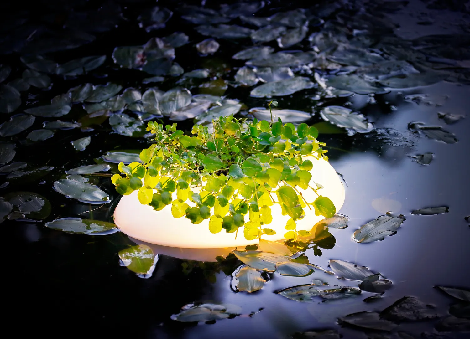 Velda Floating Pond Light lampe flottante LED plantes