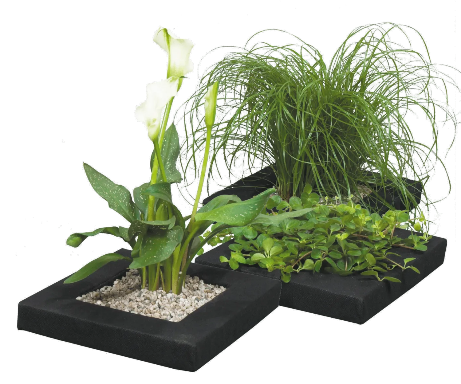 Velda Floating Plant Island île flottante plantes