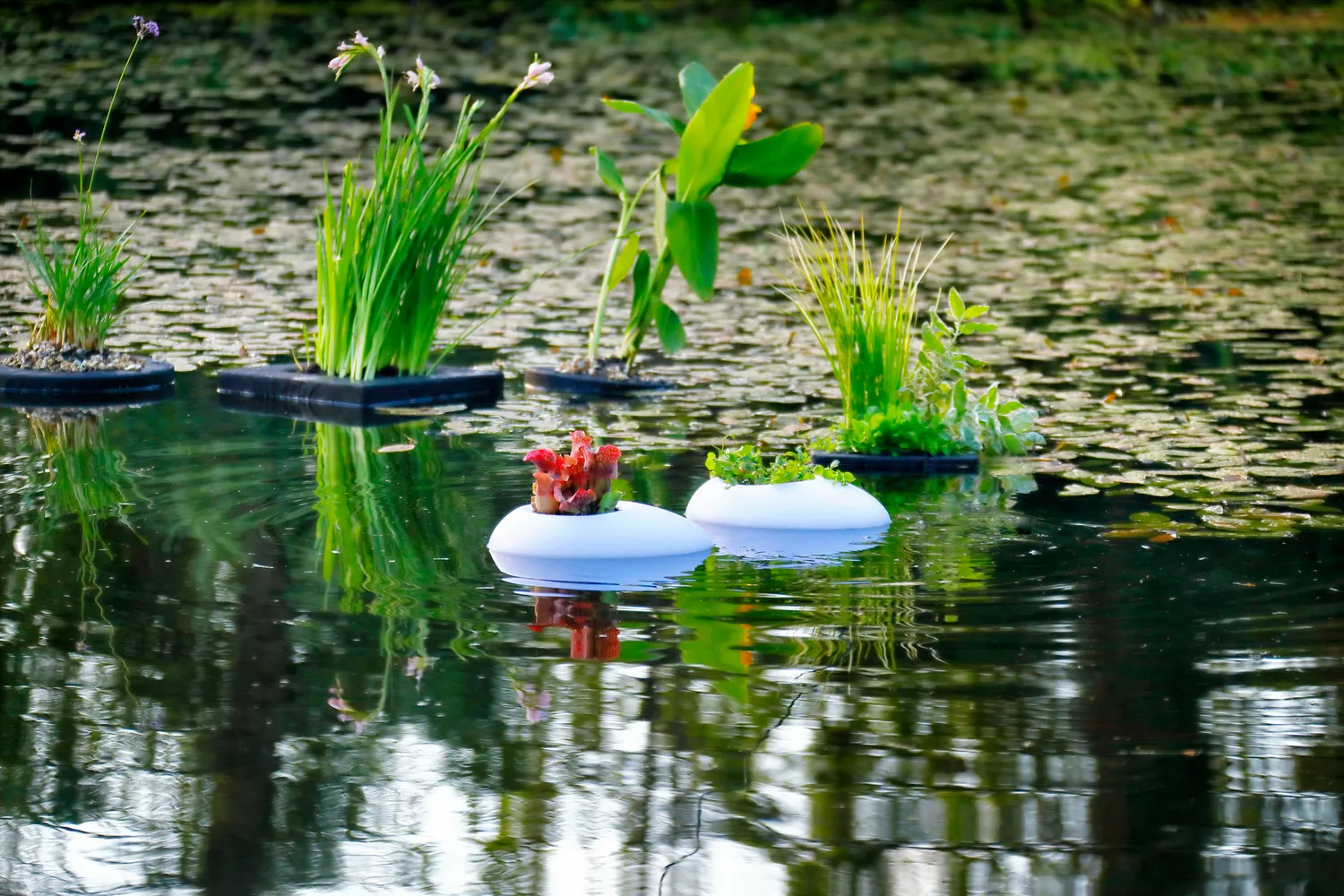 Velda Floating Pond Light lampe flottante LED plantes