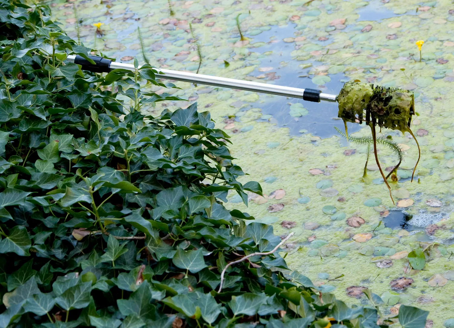 Velda Algae Brush brosse algues télescopique 51-151 cm