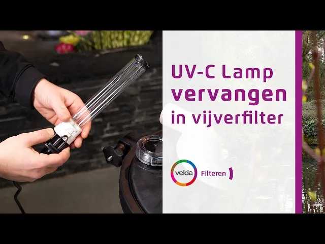 Velda UV-C PL Lampe UV-C anti-algues
