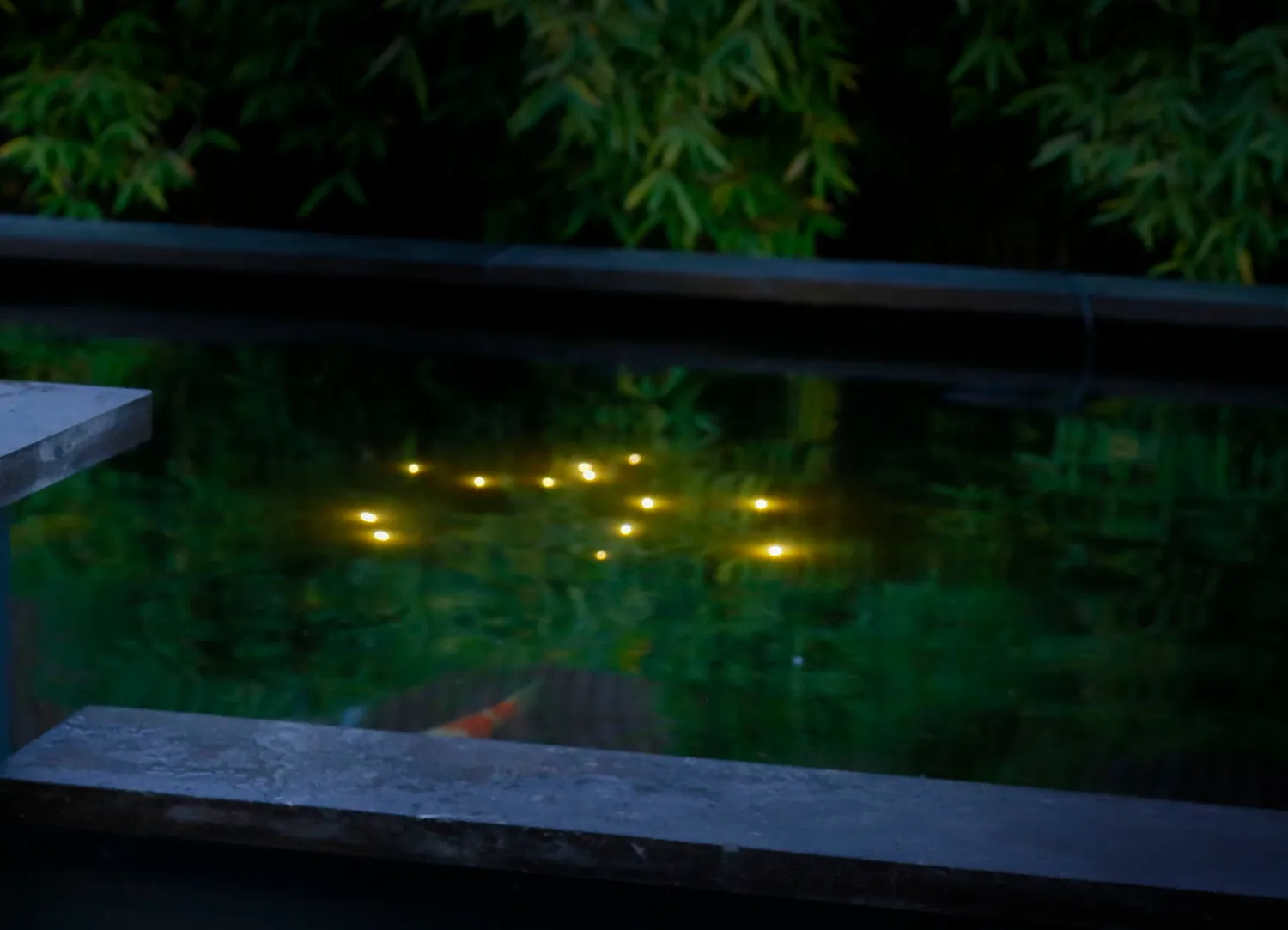 Velda Welkin Pond Light éclairage LED bassin ciel étoilé