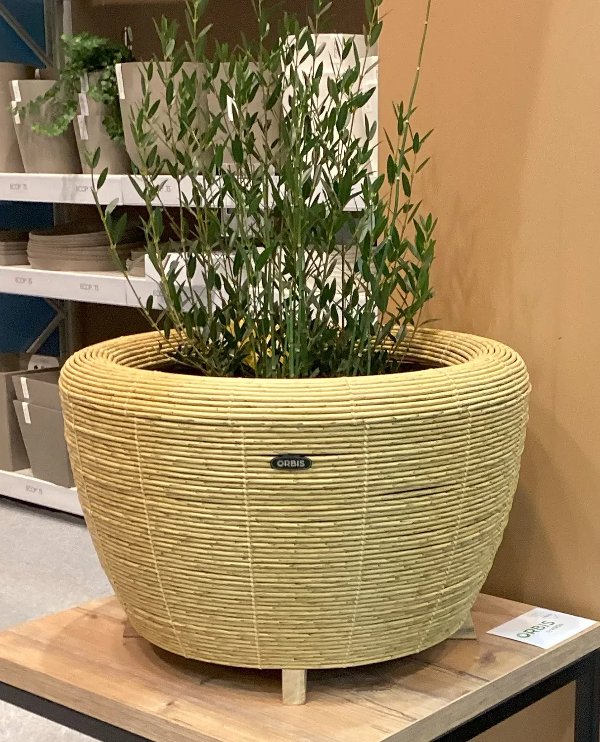 Velda Orbis Planter panier bassin plantes