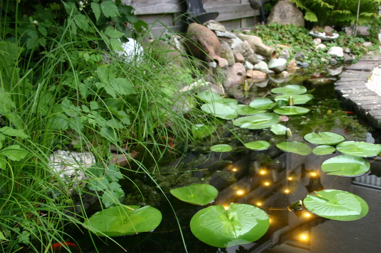 Velda Welkin Pond Light éclairage LED bassin ciel étoilé