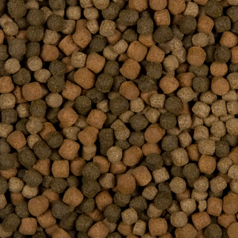 Velda SaniKoi Colour Hi-Grow Mix 3 mm nourriture koïs
