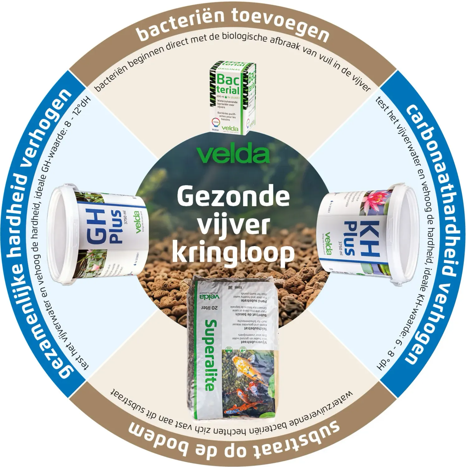 Velda Bacterial bactéries bassin nitrifiantes