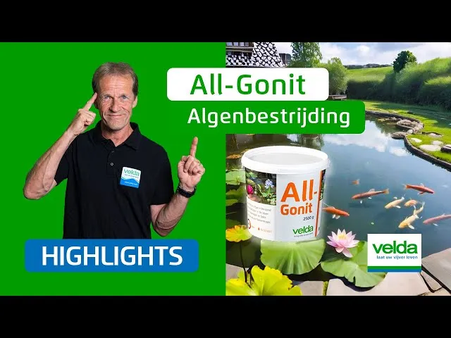 Velda All-Gonit poudre anti-algues filamenteuses