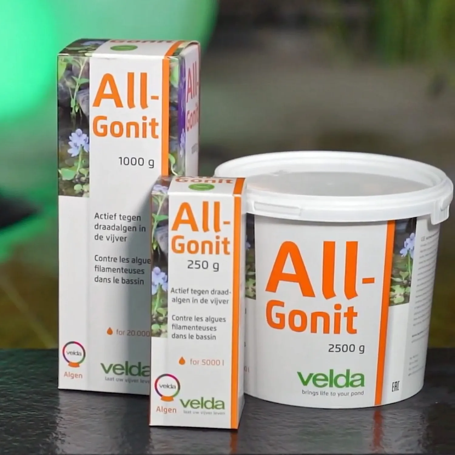 Velda All-Gonit poudre anti-algues filamenteuses