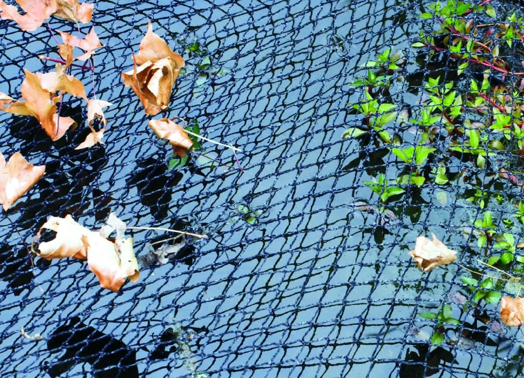 Velda Cover Net Basic filet bassin