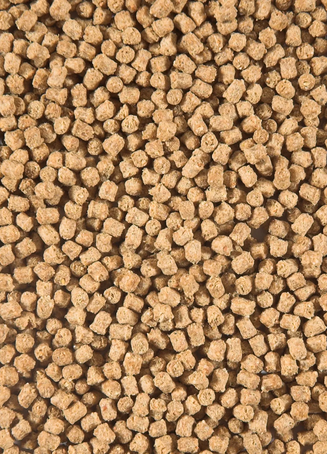 Velda Winter Fish Food granulés hiver