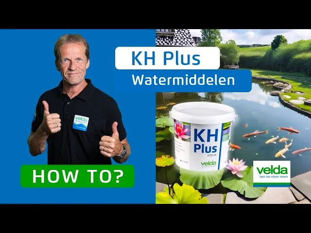 Velda KH Plus traitement eau bassin